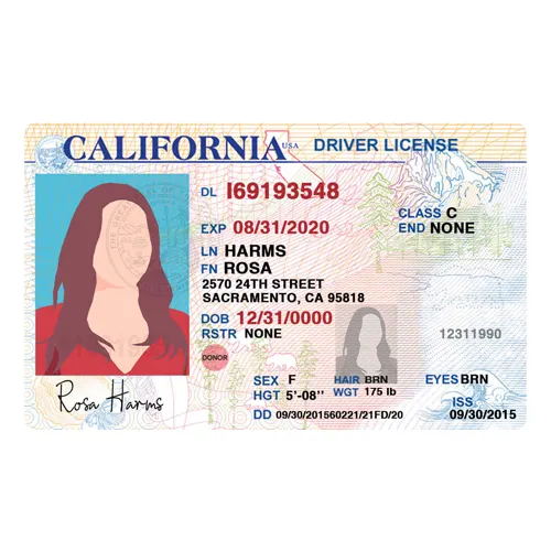 Buy California Driver’s License Online