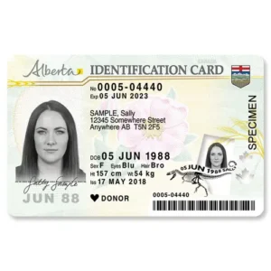 Buy Canadian Driver’s License Online