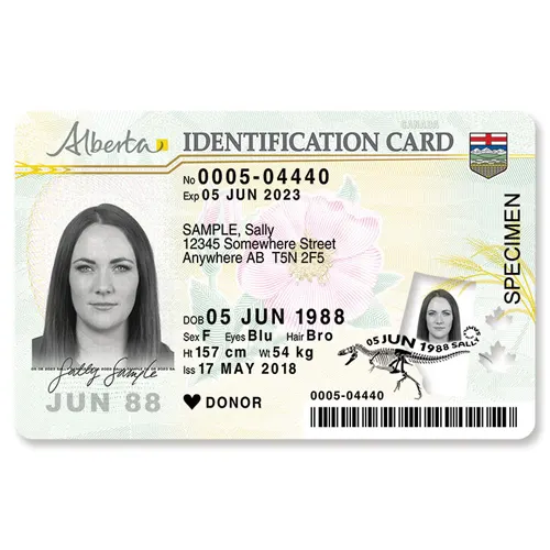Buy Canadian Driver’s License Online