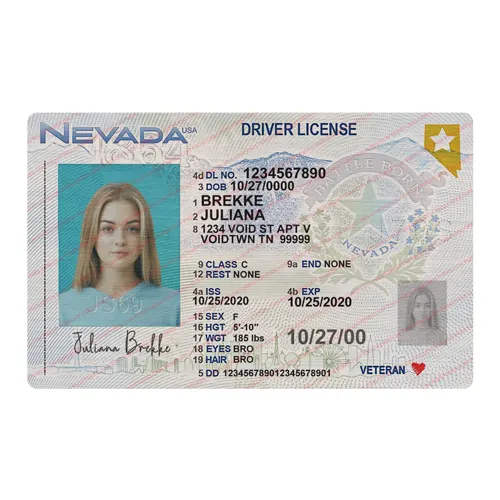 Las Vegas Driver’s License Online