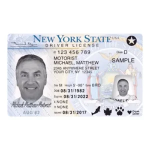 New York Driver’s License Online