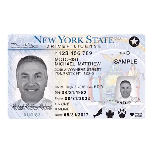 New York Driver’s License Online